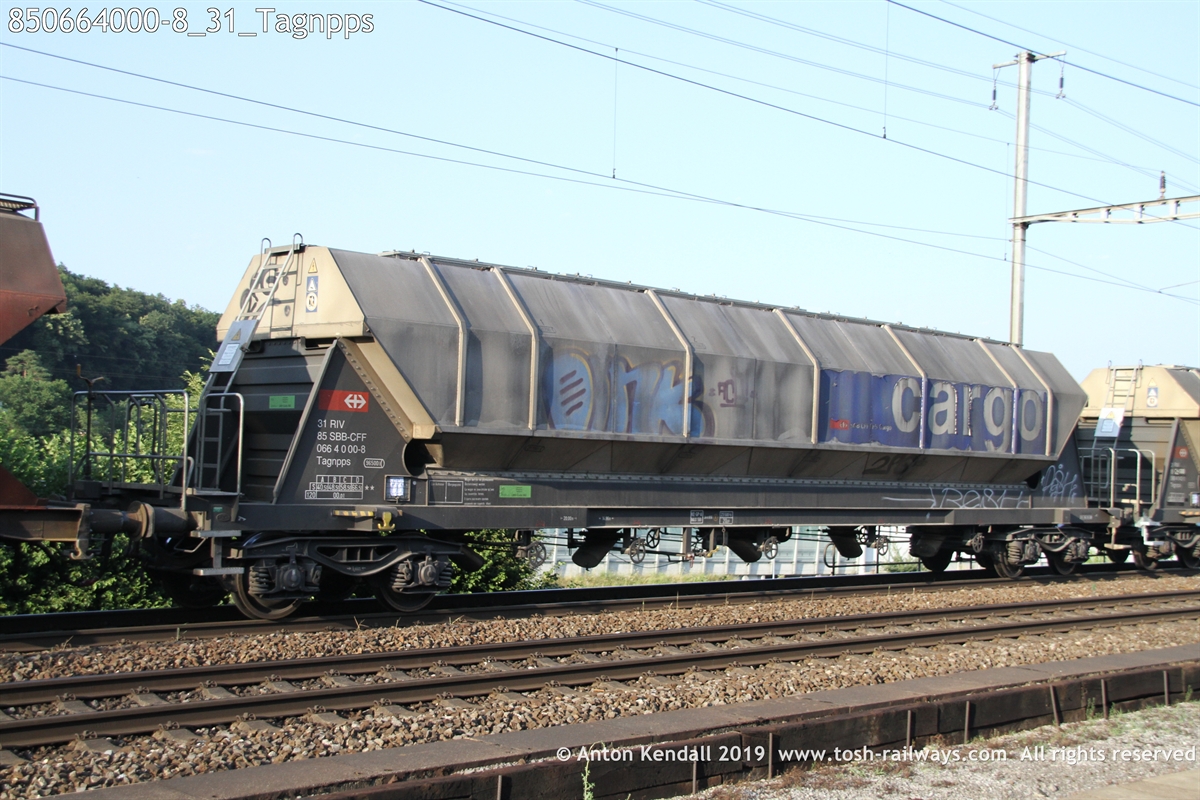 850664000-8_31_Tagnpps.JPG